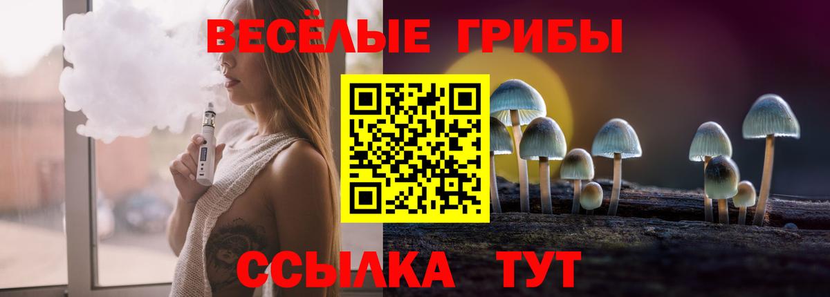 Псилоцибиновые грибы Cubensis  Вход с VPN  Шатура 